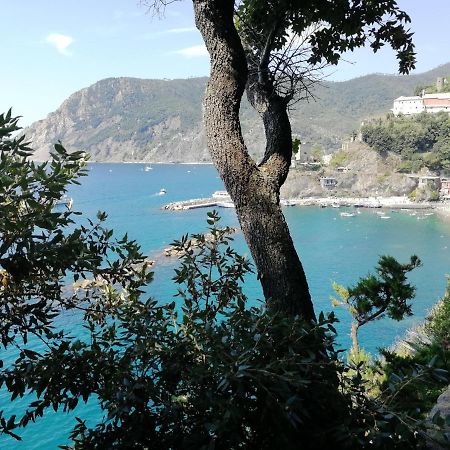 Appartement La Terrazza Sul Mare ☆☆☆☆☆ Monterosso à Monterosso al Mare Extérieur photo